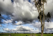 28圈体育：[网球]三届卫冕冠军斯维亚特克在多哈又进一步.