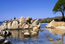 28圈体育：[NBA]字母哥单挑巴特勒 背转身勾手抛射得分.